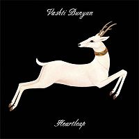 Vashti Bunyan — Lookaftering